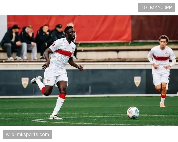 斯图加特在德甲赛季开局强势,表现稳健渴望重返欧洲赛场 斯图加特在德甲赛季开局强势,表现稳健渴望重返欧洲赛场